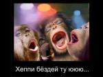 Russian Monkeys