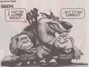 big guns and congress