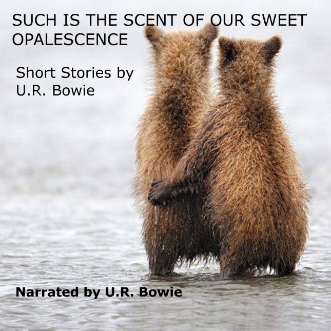 Bears Look Out To Sea Cover of audiobook